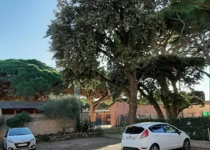 Confortable A Proximite De La 45 M² *